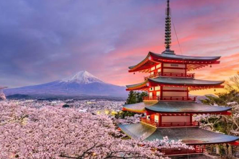 From Tokyo: Mount Fuji & Hakone Customizable Private Tour Itinerary A: Mount Fuji Full Day Customizable Private Tour