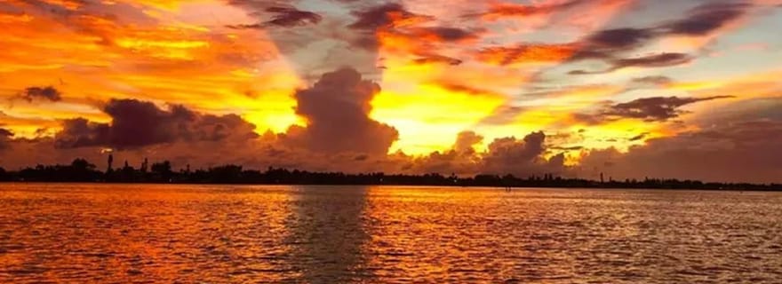 Île Anna Maria : croisière au coucher du soleil avec les dauphins