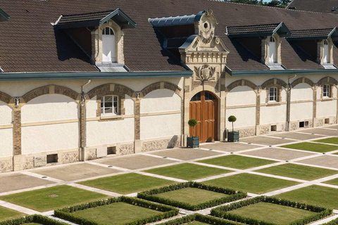 Dégustation de Ruinart et visite privée ludique en Champagne