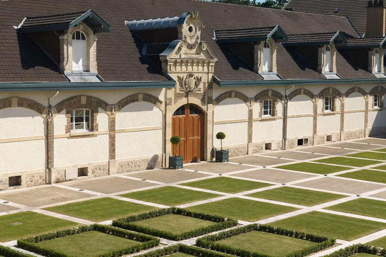 Dégustation de Ruinart et visite privée ludique en Champagne