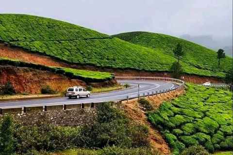 Klein Munnar: Vagamon Serene Teegärten, Wiesen und Wälder