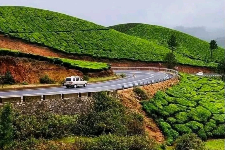 Klein Munnar: Vagamon Serene Teegärten, Wiesen und Wälder