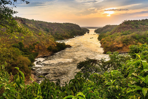 Ouganda : Safari de 10 jours d&#039;Entebbe aux chutes de Murchison