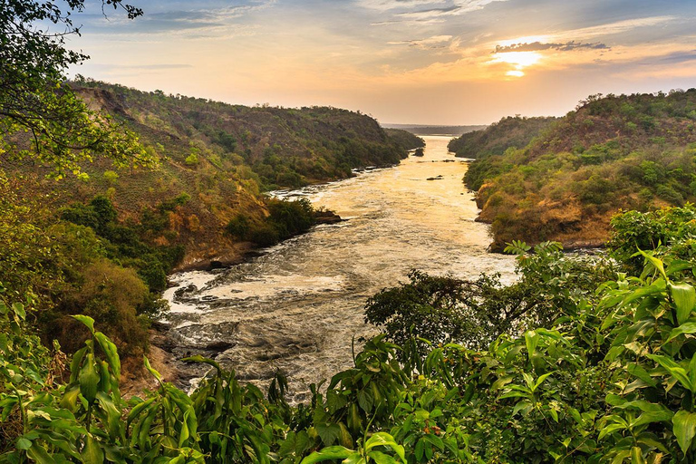 Uganda: 10-dagars safari från Entebbe till Murchison Falls