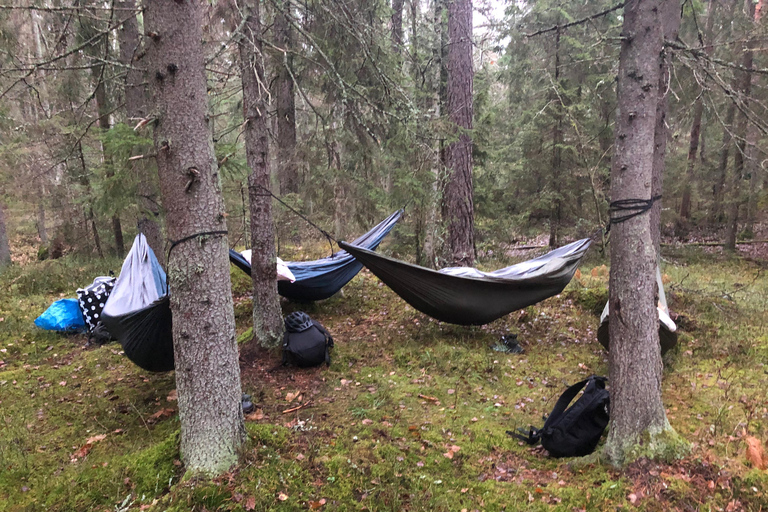 Forest Bathing in Stockholm nature with certified guide Forest bathing with tea-ceremony in mossy nature reserve