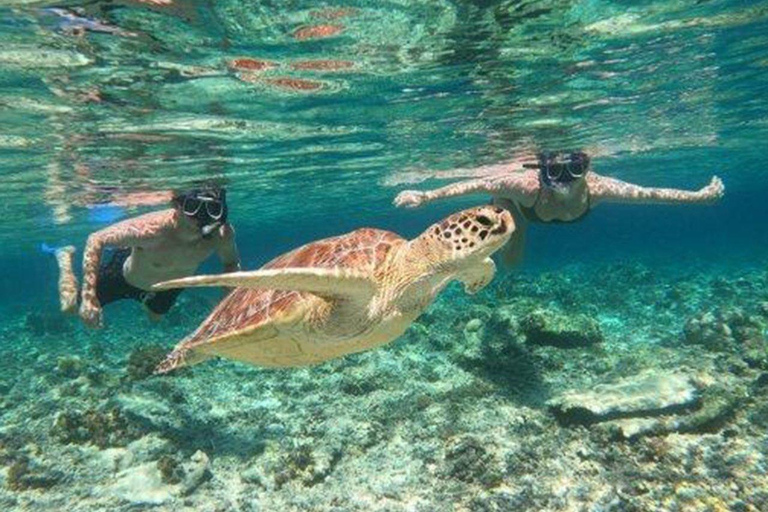 Pacote turístico de um dia para Gili Trawangan Lombok