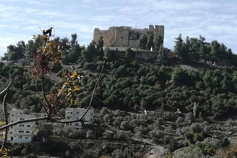 Amman: Jerash, Ajloun, Mar Elias or Umm Qais Day Trip Amman: Jerash, Ajloun Day Trip