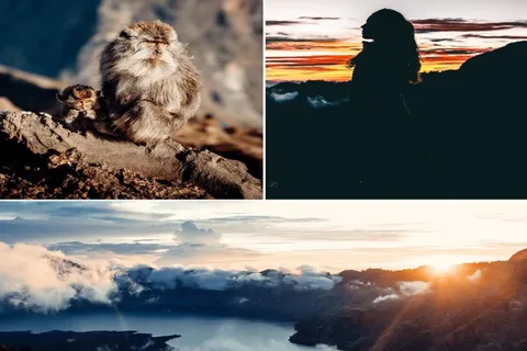 Mount Rinjani: 2D-1N Trekking Summit Sunrise Point Join Tour