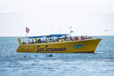 Myrtle Beach: Cruzeiro com golfinhos no Sea Screamer