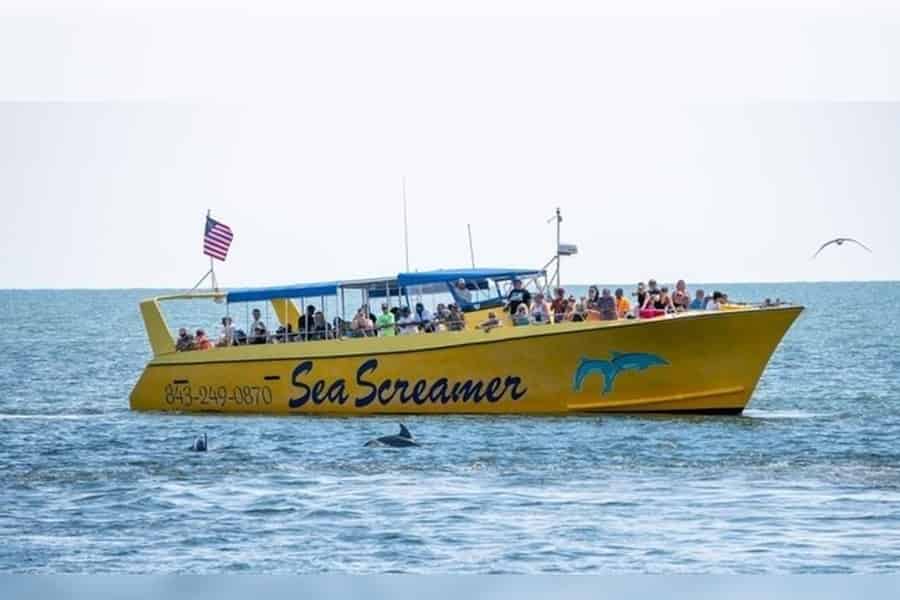 Myrtle Beach: Delfin-Kreuzfahrt auf dem Sea Screamer. Foto: GetYourGuide