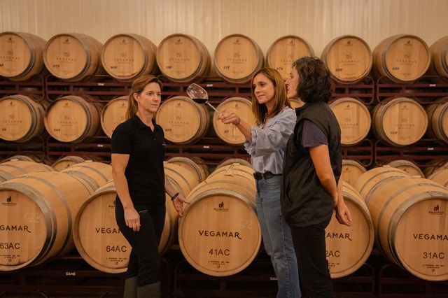 Valencia: Bodegas Vegamar Winery Tour and Tasting