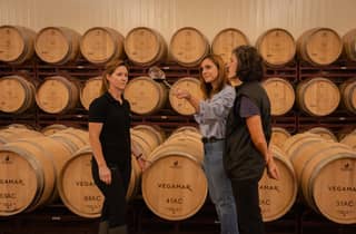 Valencia: Tour durchs Weingut Bodegas Vegamar mit Verkostung