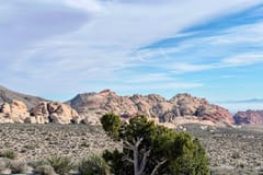 Von Las Vegas: Tour zum Red Rock Canyon & majestätischen Hoover Dam
