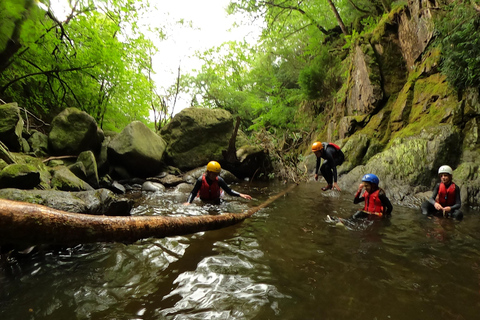 Snowdonia : Visite guidée des gorges avec des guides experts