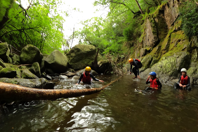 Snowdonia: Thrilling Gorge Walking Tour with Expert Guides