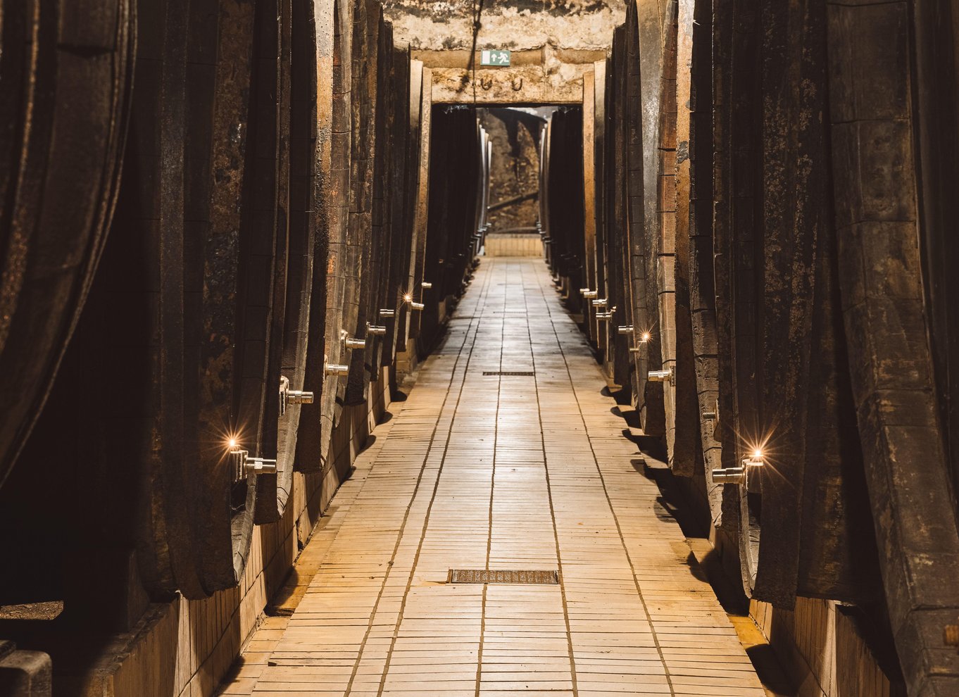 Maribor: Vinag Wine Cellar Tour med vinsmagning og snacks