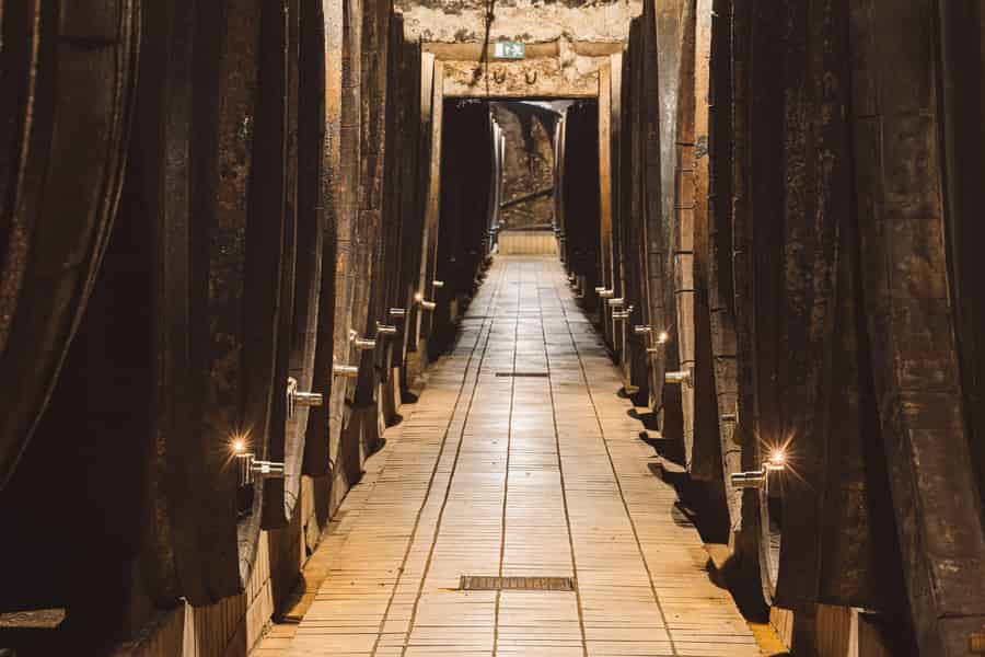 Maribor: Vinag Weinkeller Tour mit Weinverkostung und Snacks. Foto: GetYourGuide Maribor: Vinag Weinkeller Tour mit Weinverkostung und Snacks. Foto: GetYourGuide