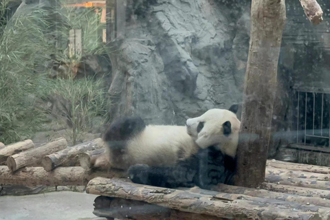 Viagem particular à Grande Muralha + Casa de Panda com motorista inglêsPartida da estação ferroviária de Beijing