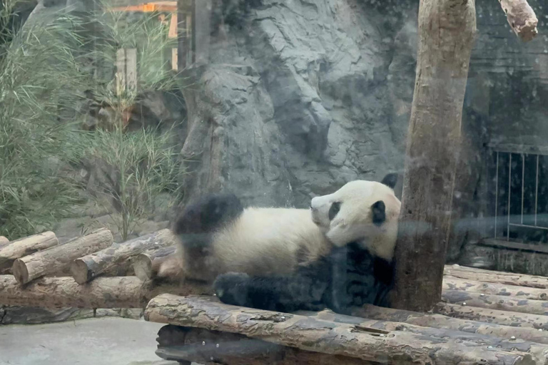 Viagem particular à Grande Muralha + Casa de Panda com motorista inglêsPartida da estação ferroviária de Beijing