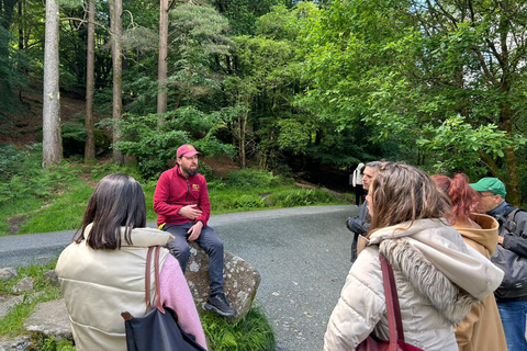 From Dublin: Wicklow Mountains & Glendalough Guided Tour