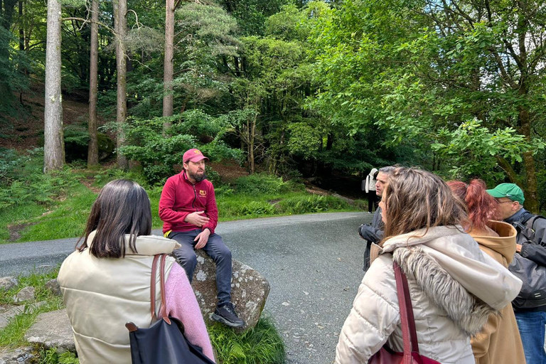From Dublin: Wicklow Mountains & Glendalough Guided Tour