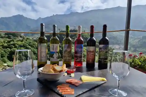 Madeira: North Wine tour