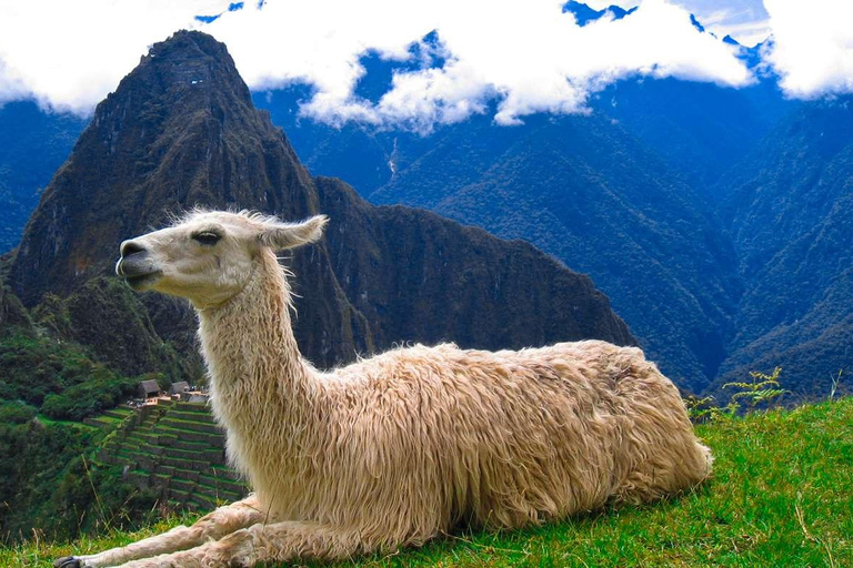 Cusco and Magical Lake Titicaca 8-days | Machu Picchu |