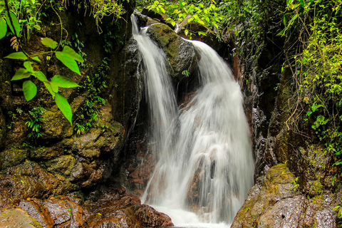 San Pedro Sula: Azul Meámbar National Park Day Trip