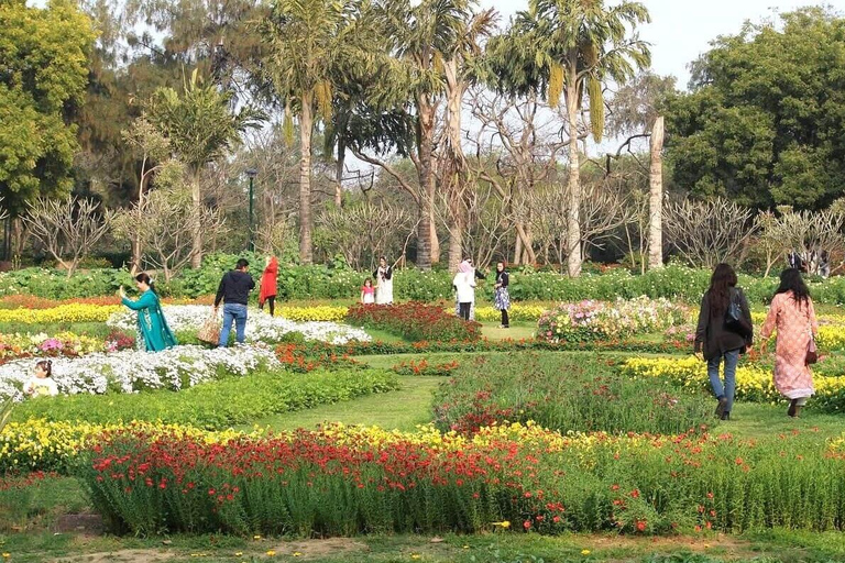 Delhi: Reconnect with Nature &amp; Yoga Tour