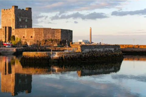 Belfast: Tour privado de la ciudad con conductor-guía