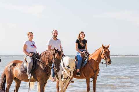 Paardrijden op het strand - PDTPaardrijden op het strand in groep