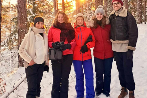 Oslo: Forest Hike with Panoramic Fjord Views and a dog