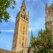 Sevilla: Tour privado Catedral, Alcázar y Santa Cruz | GetYourGuide