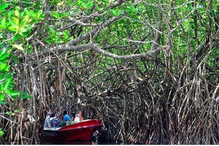 Da Galle: Safari sul fiume Madu e visita all&#039;incubatoio delle tartarughe