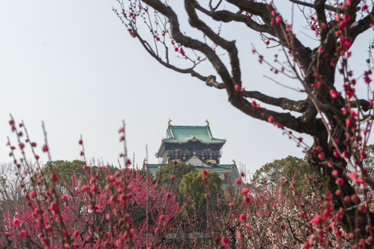 Osaka: Private Shore Excursion to Kobe, Kyoto, Nara or Osaka 8-hour tour