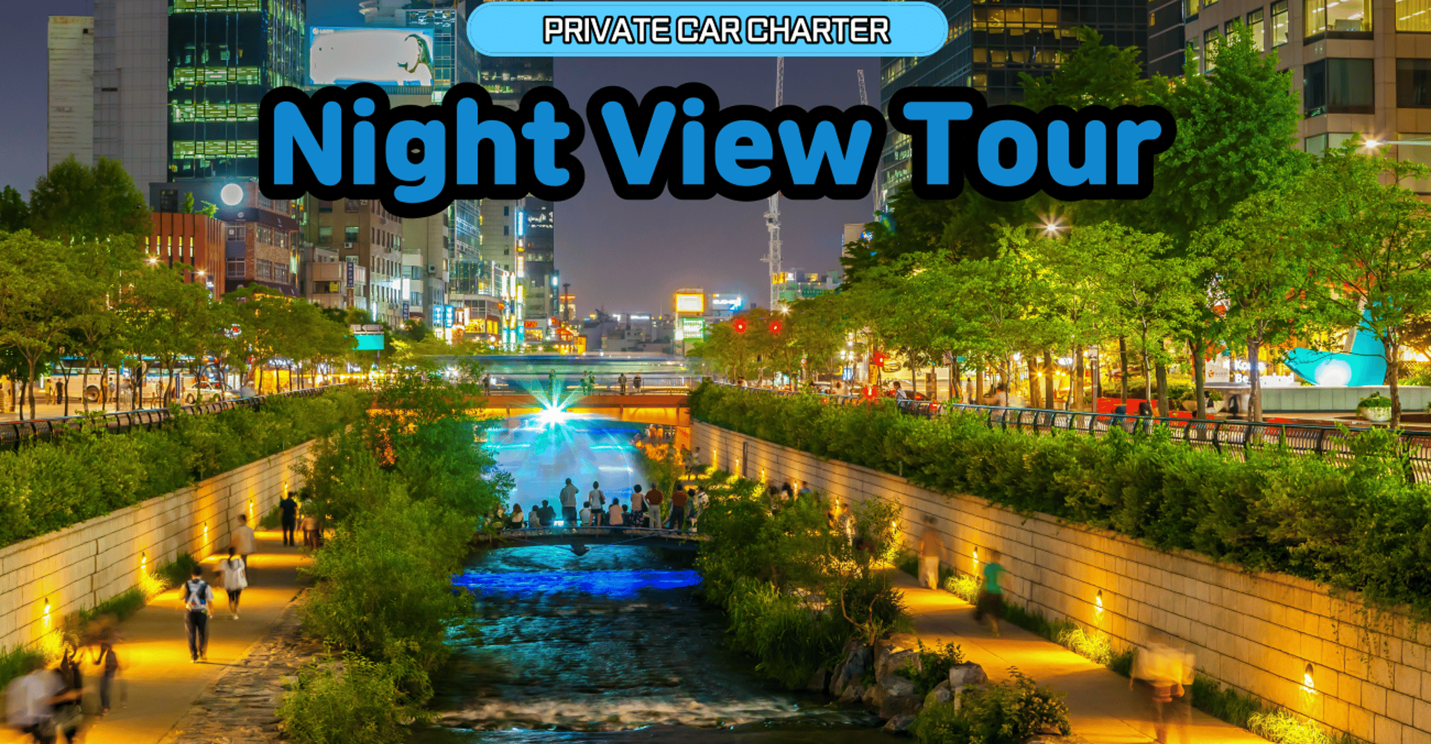 Seoul: Private Night View Tour
