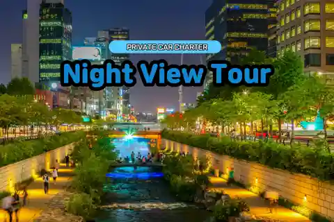 Seul: Tour particular com vista noturna
