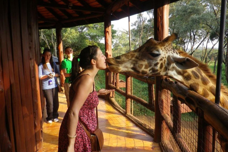 Parque Nacional de Nairóbi, Orfanato de Elefantes e Centro de Girafas