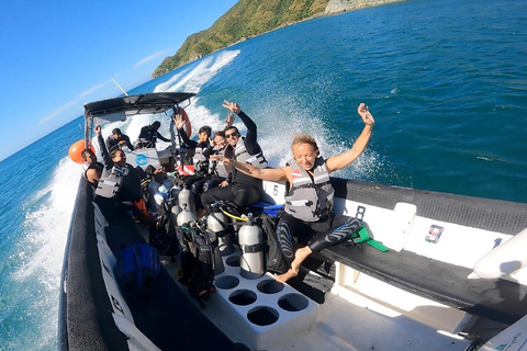Tayrona National Park: Beginner Diving with Expert Tour Guides Tayrona National Park: Beginner Diving With Expert Tour Guides