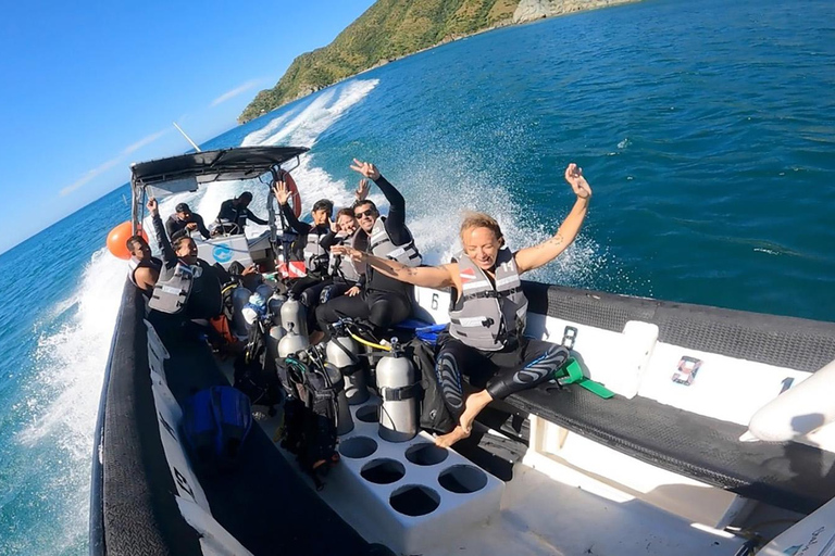 Tayrona National Park: Beginner Diving with Expert Tour Guides Tayrona National Park: Beginner Diving With Expert Tour Guides