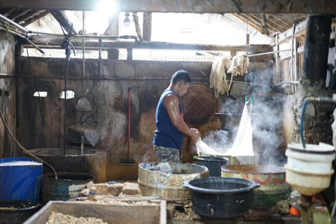 Yogyakarta ; visite à vélo des villages touristiques et du temple de Borobudur.