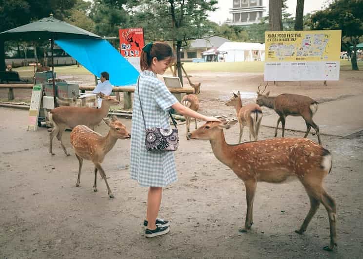 나라: 사슴 공원과 도다이지 사원을 둘러보는 프라이빗 투어