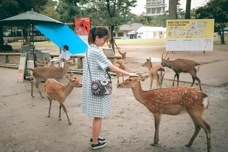 نارا: جولة خاصة بالسيارة في منتزه الغزلان ومعبد توداي جينارا: جولة خاصة بالسيارة إلى حديقة الغزلان 