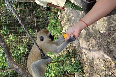 Zanzibar: Nungwi kilosa Conservation zoo half day tour Private tour for the gusts from Nungwi only