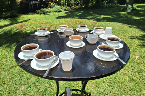 Nairobi: Fairview Coffee Estate Tour mit Transfers