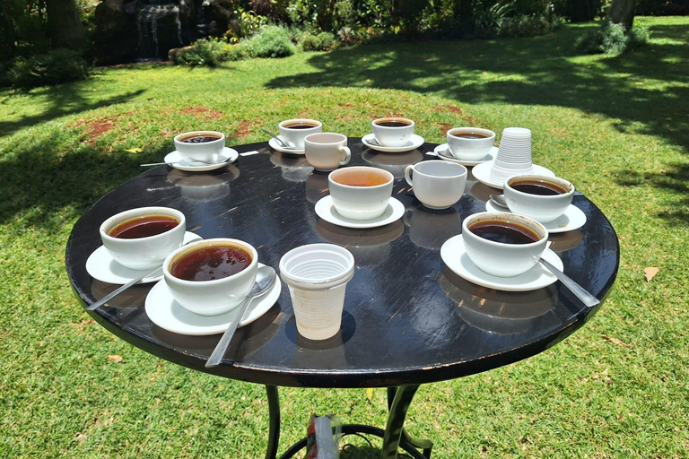 Nairobi: Fairview Coffee Estate rundtur med transfer