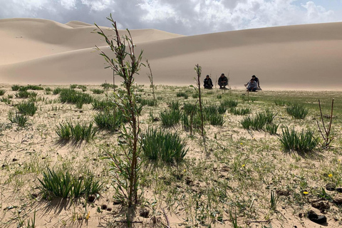 Circuit de 6 jours dans le Grand Gobi