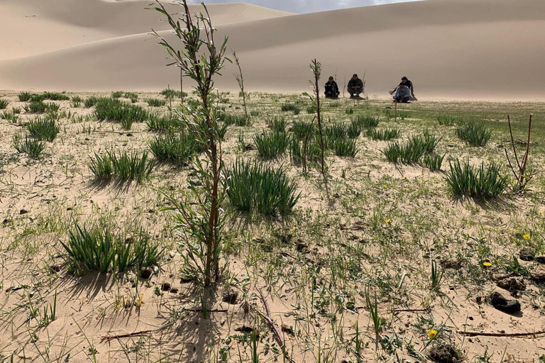 6 giorni di tour del Grande Gobi: un ricordo stupefacente6 giorni di tour del Grande Gobi