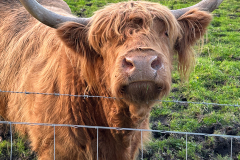 From Edinburgh: 2-Day Highlands Tour with Hogwarts Express 2 Guests Twin Room with 2 Single Beds and a Private Bathroom