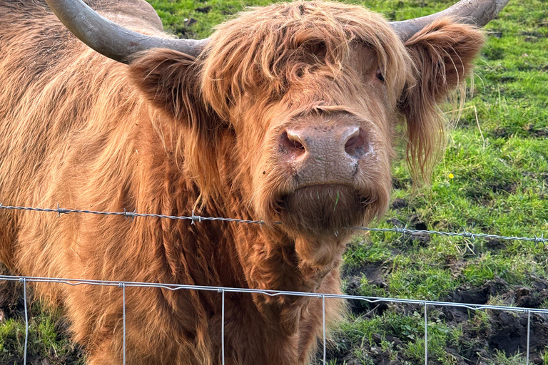 From Edinburgh: 2-Day Highlands Tour with Hogwarts Express 2 Guests Twin Room with 2 Single Beds and a Private Bathroom